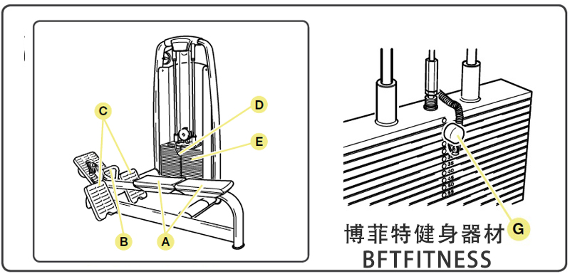 坐姿划船芭乐视频黄在线观看