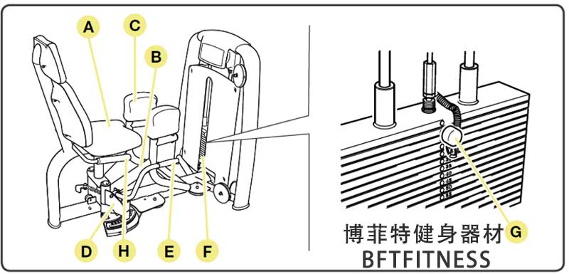 大腿外展外侧肌芭乐视频黄在线观看